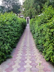 a pathway with a brick walkway between two bushes