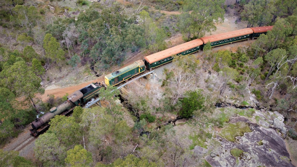 a train traveling through a lush green forest