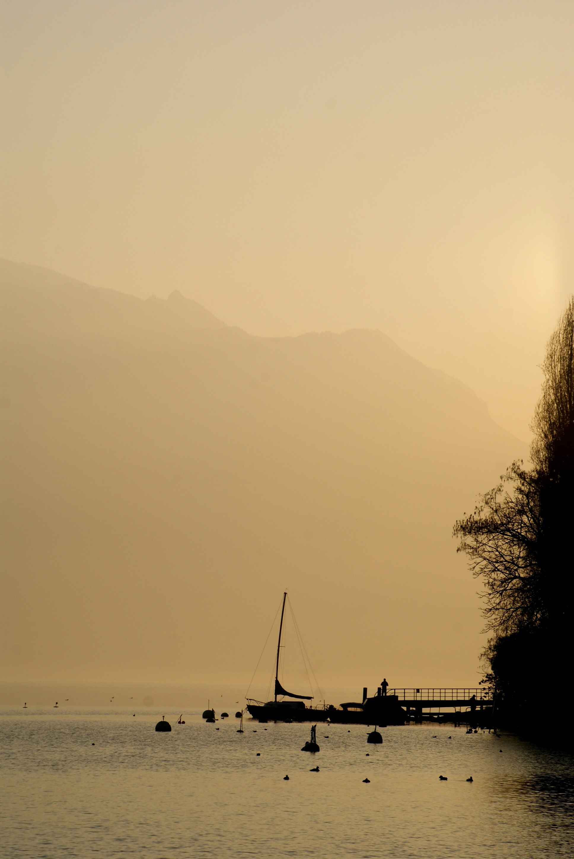 Photo by ruben7511