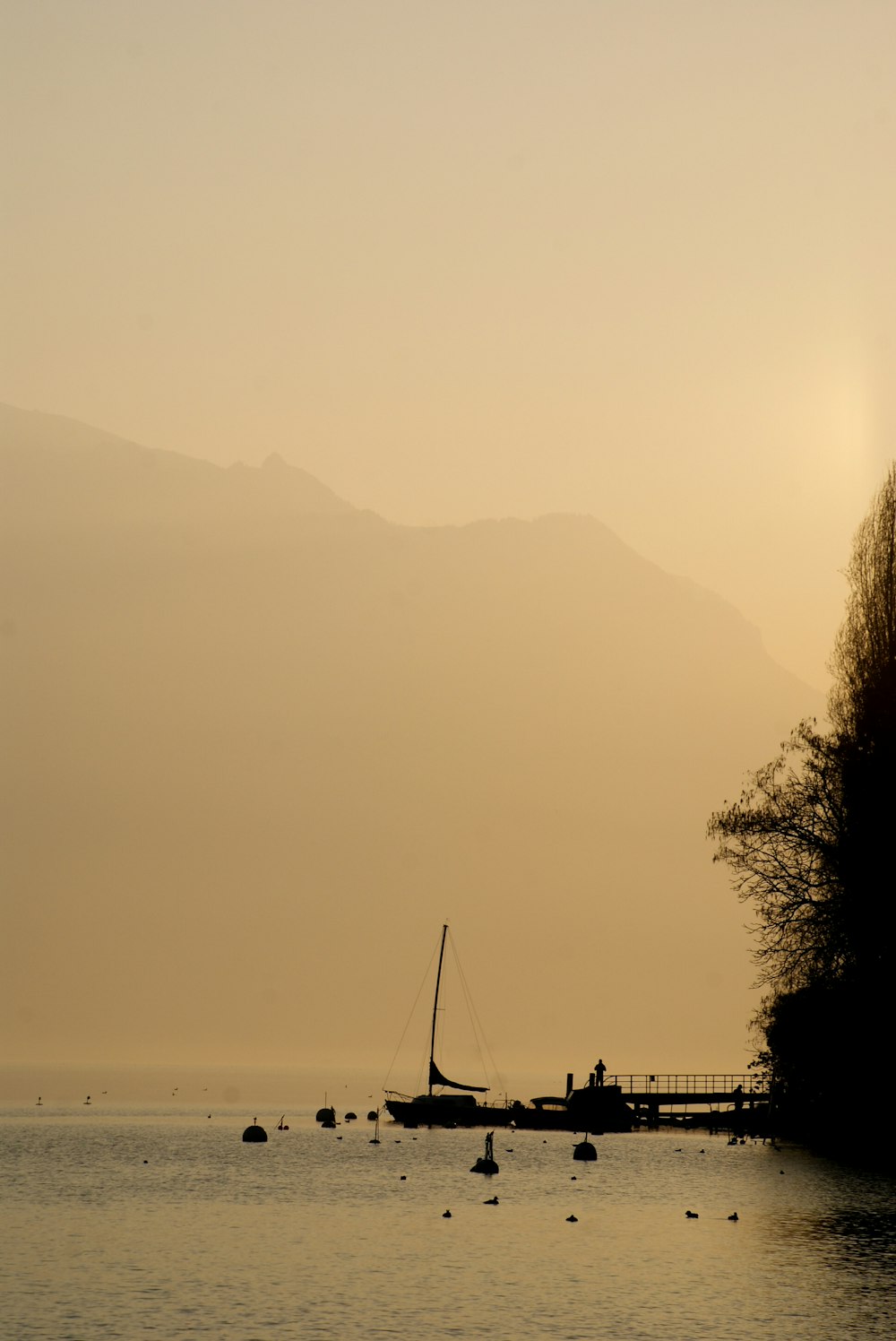 a sailboat in the water with a mountain in the background