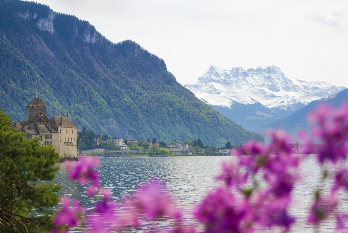 Lake Geneva and the Alps behind summer flowers