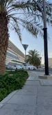 A row of sleek white cars parked outside the Dragon Mart office, ready for deliveries.