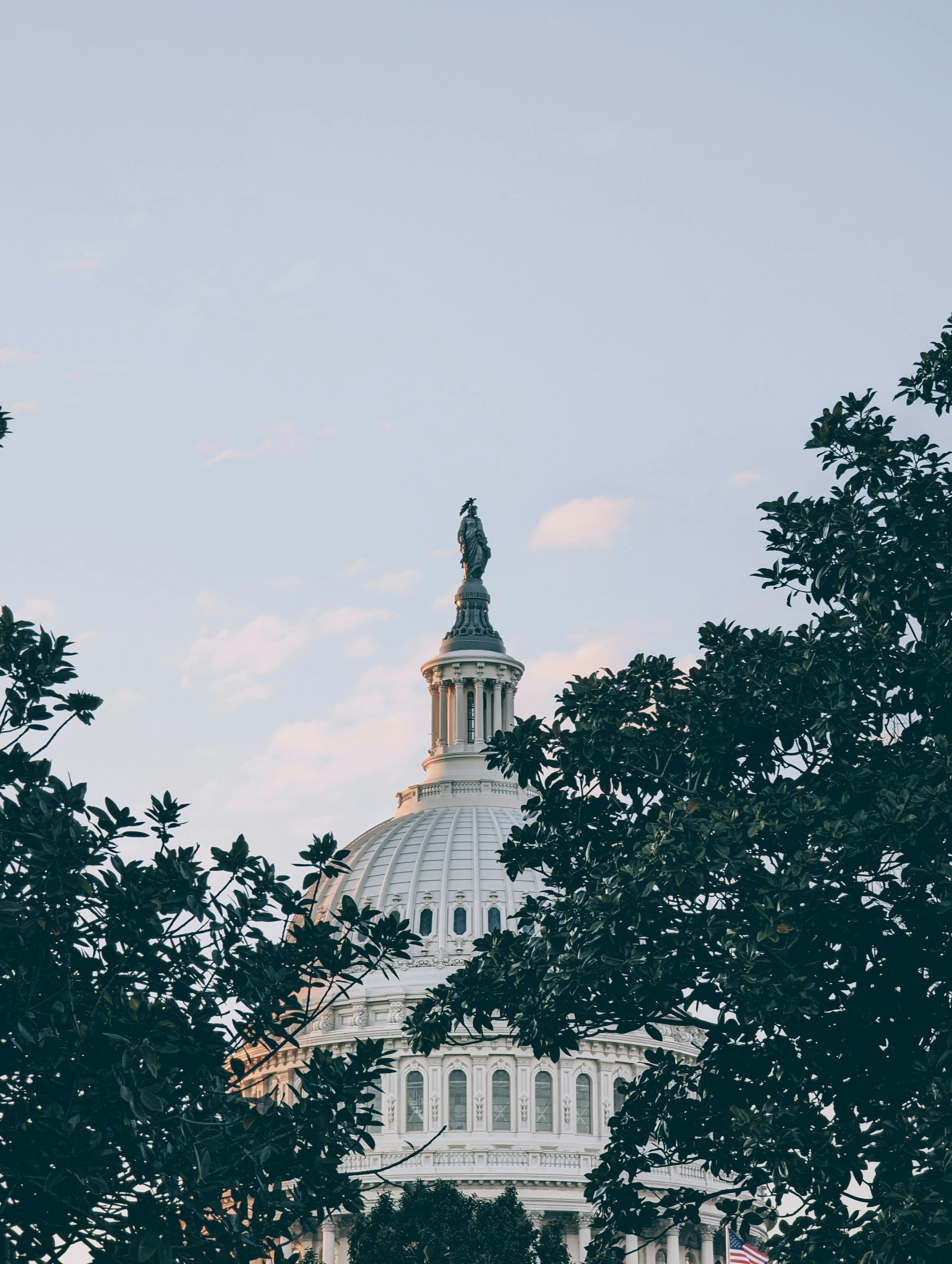 a view of the dome of a building through the trees