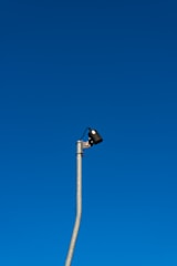 A tall streetlight pole extends into a clear blue sky, with a security camera mounted near the top.