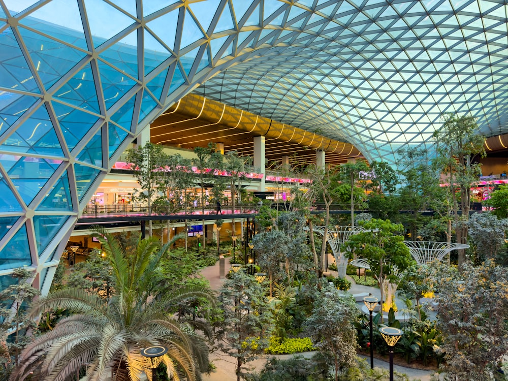 the inside of a large building with a lot of trees and plants