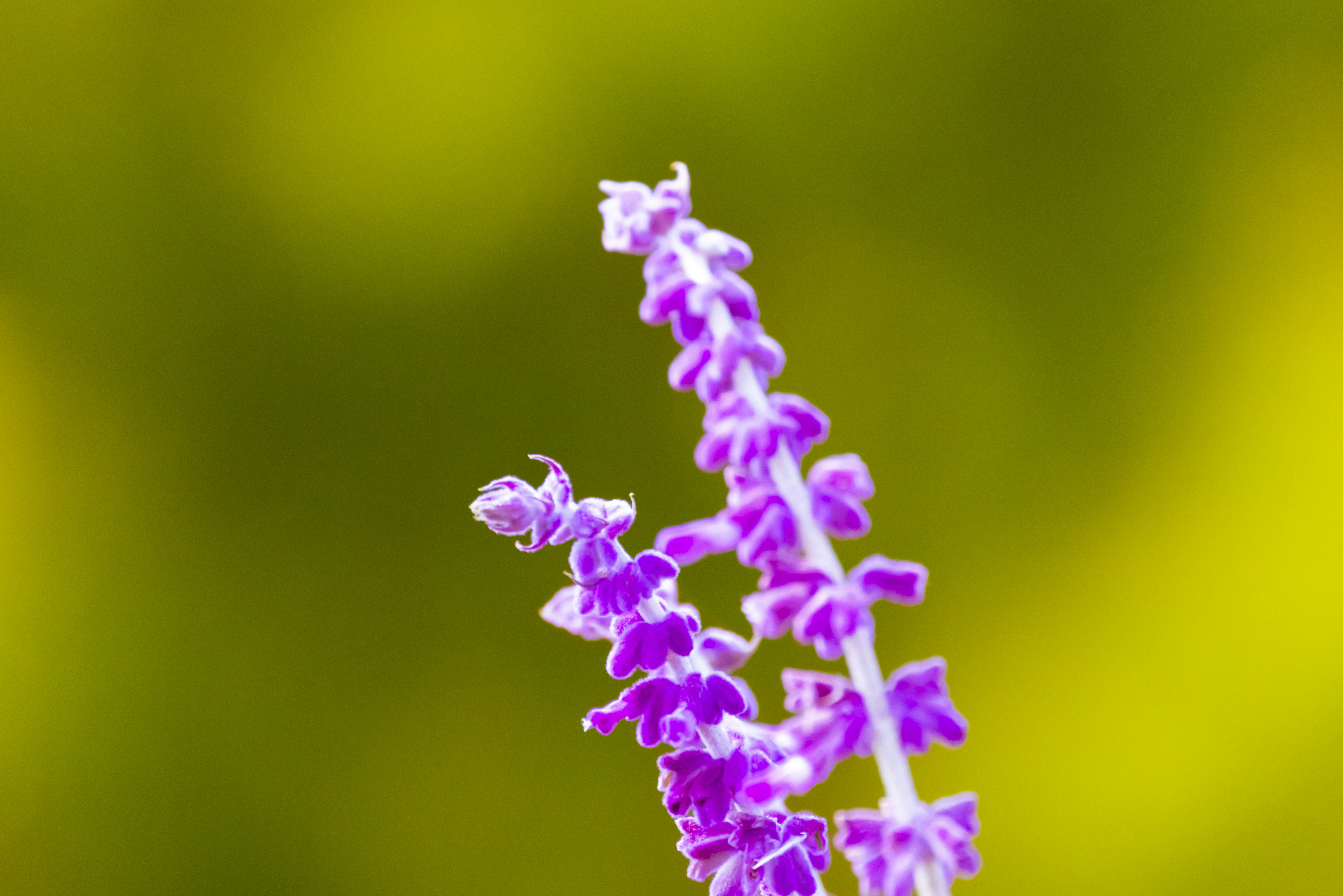 Photo by arttoinspire