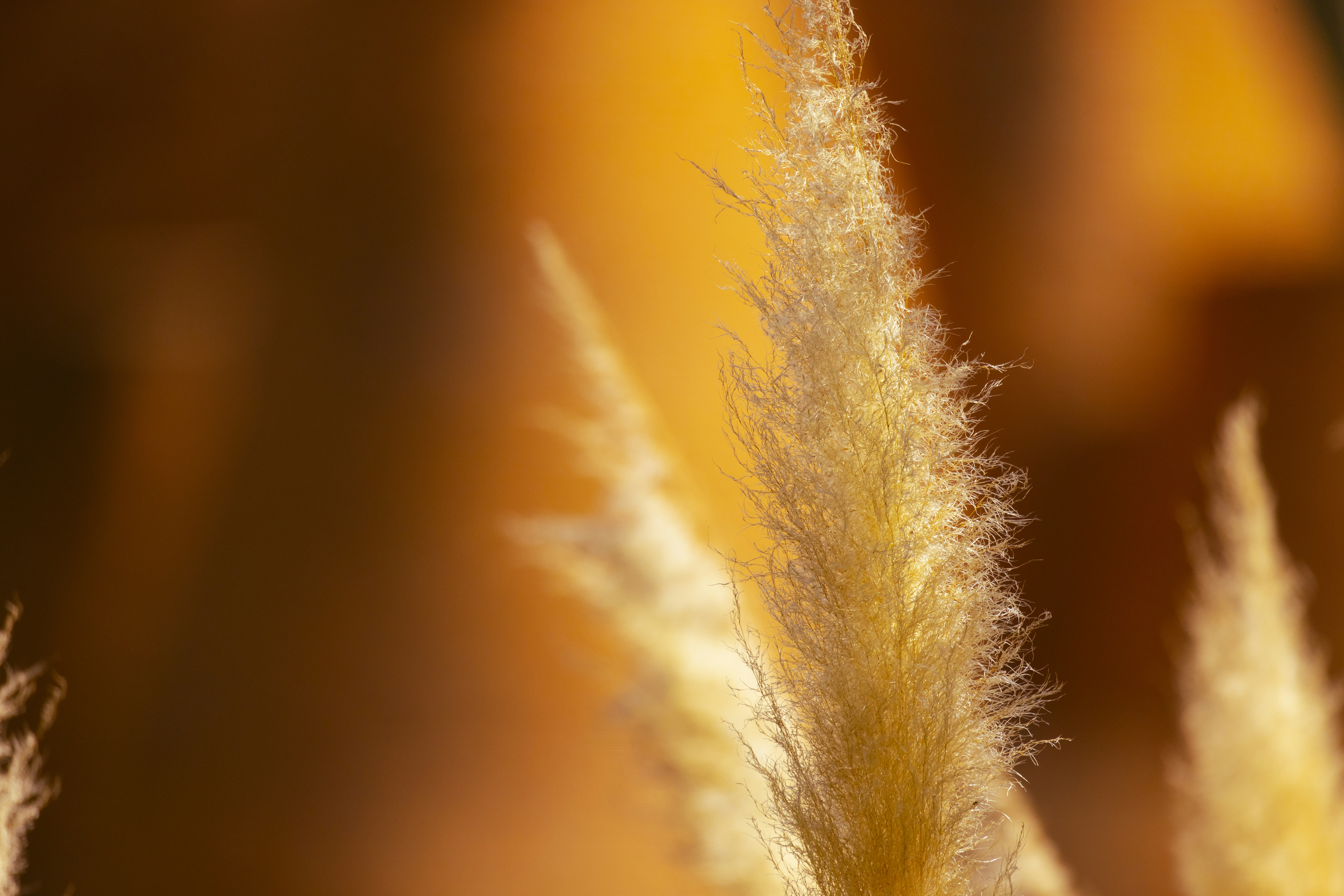 Photo by arttoinspire