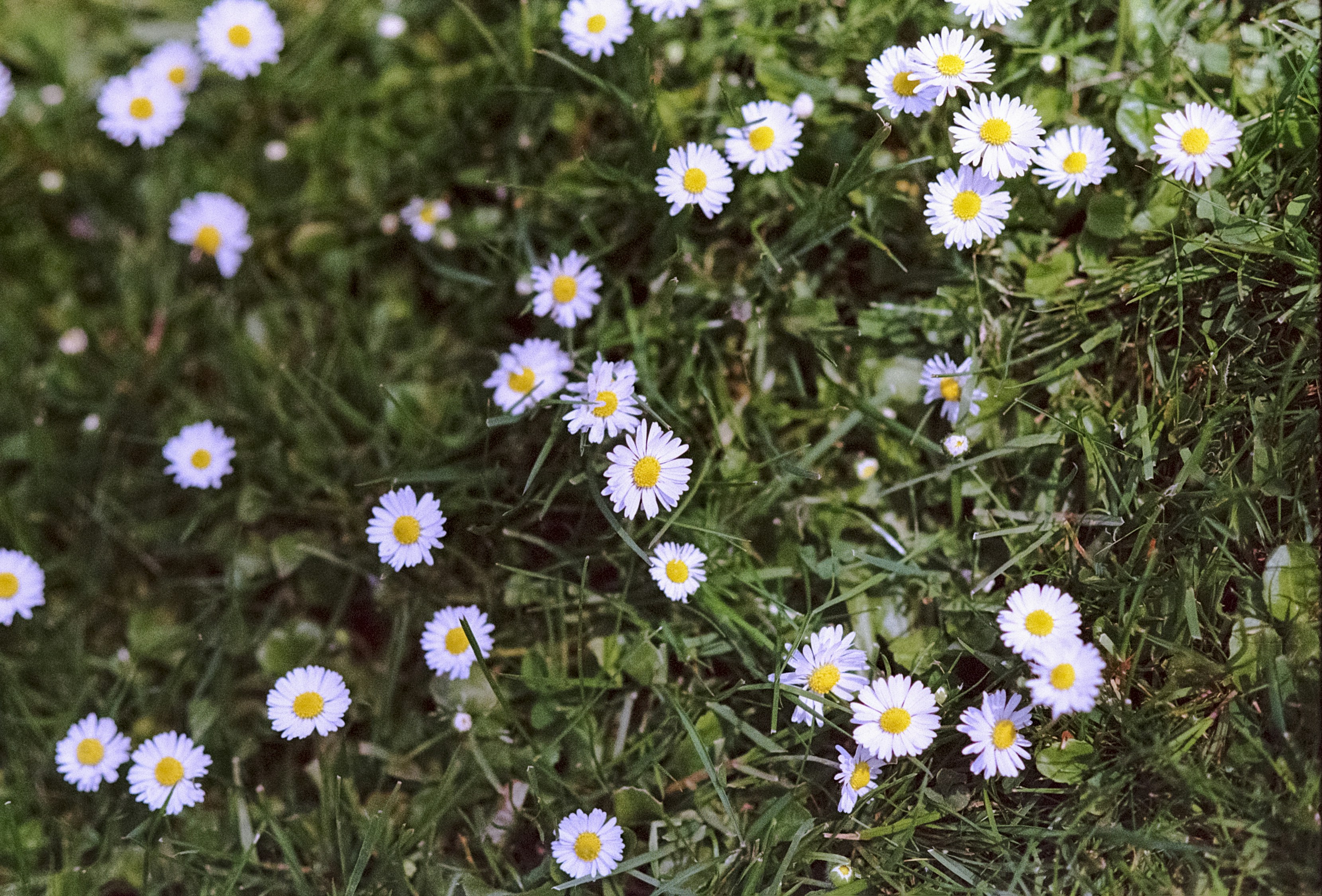 Photo by artistseyes