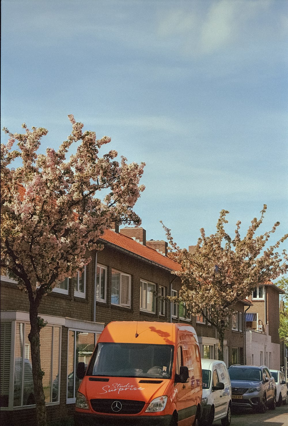 a van parked on the side of a road next to a tree