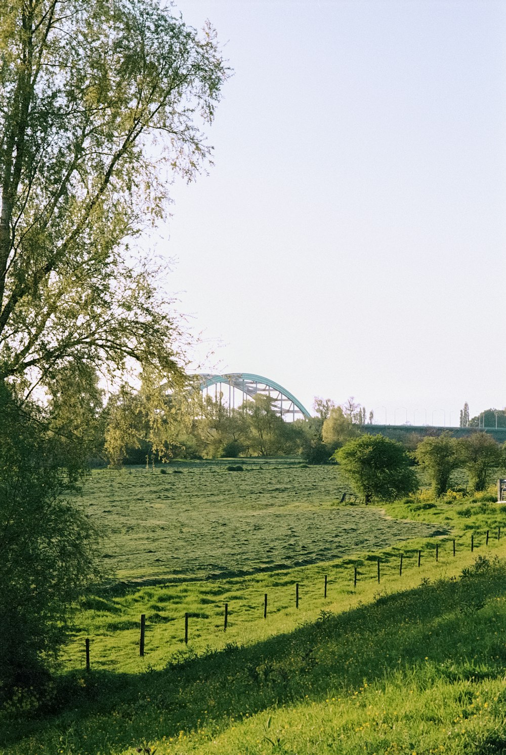 Un campo verde con un puente al fondo
