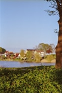 A serene landscape features a group of houses situated by the edge of a tranquil lake. These homes are surrounded by lush greenery, with willow trees leaning towards the water. The large tree on the right frames the scene, adding depth. The sky is clear and blue, enhancing the peacefulness of the setting.