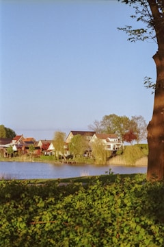 A serene landscape features a group of houses situated by the edge of a tranquil lake. These homes are surrounded by lush greenery, with willow trees leaning towards the water. The large tree on the right frames the scene, adding depth. The sky is clear and blue, enhancing the peacefulness of the setting.
