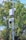 A surveillance camera mounted on a pole with a protective box and metal spikes below. The background features lush green trees and a clear blue sky, suggesting a peaceful outdoor setting.