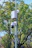 A surveillance camera mounted on a pole with a protective box and metal spikes below. The background features lush green trees and a clear blue sky, suggesting a peaceful outdoor setting.