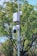 A surveillance camera mounted on a pole with a protective box and metal spikes below. The background features lush green trees and a clear blue sky, suggesting a peaceful outdoor setting.
