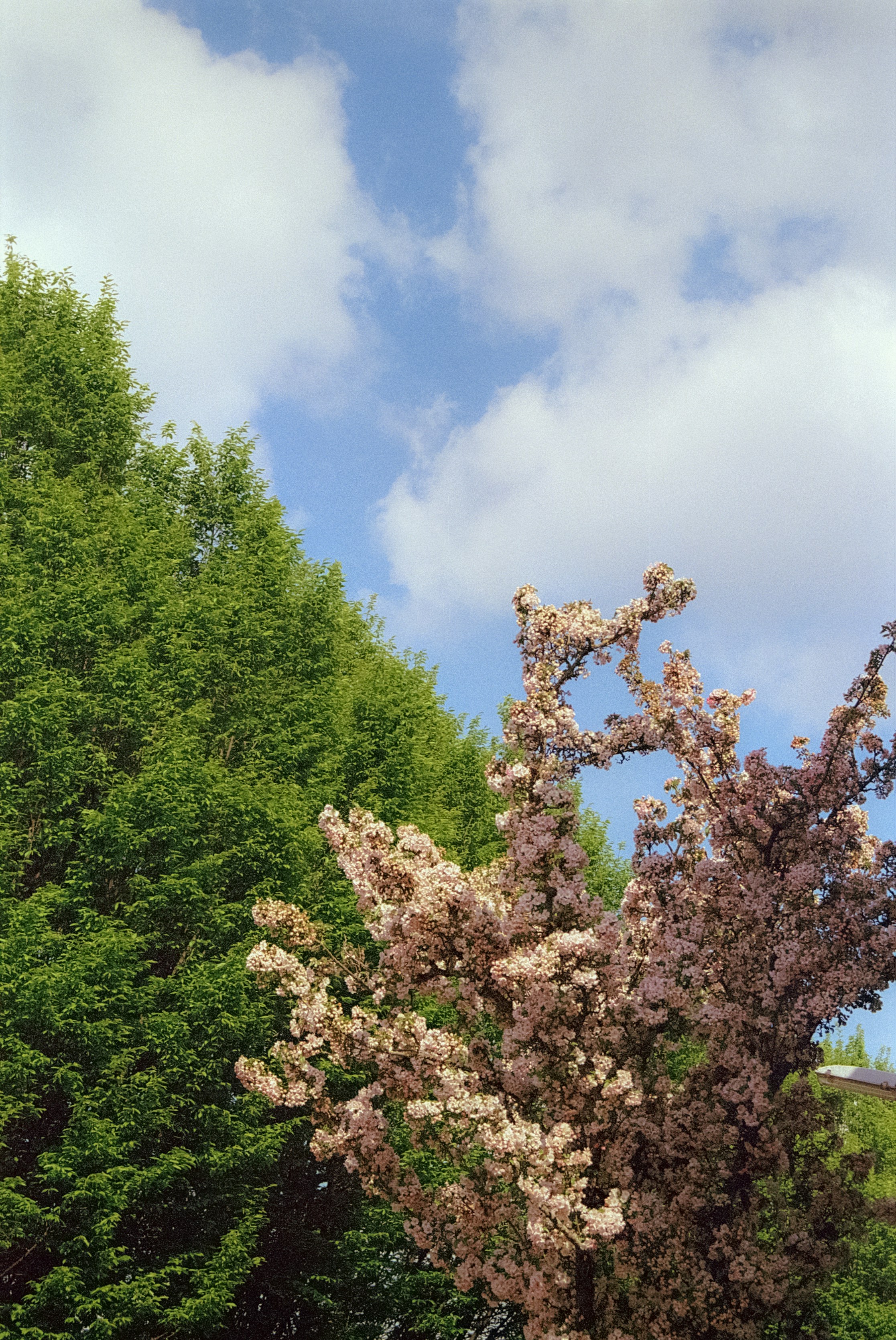 Photo by artistseyes