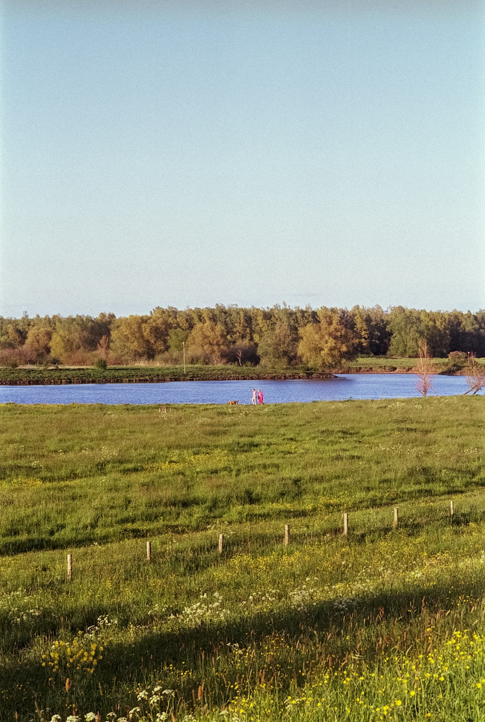 a large grassy field with a lake in the background
