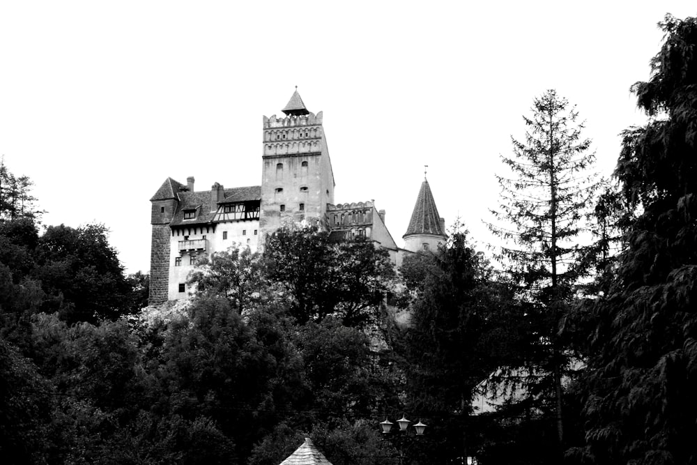 a black and white photo of a castle surrounded by trees