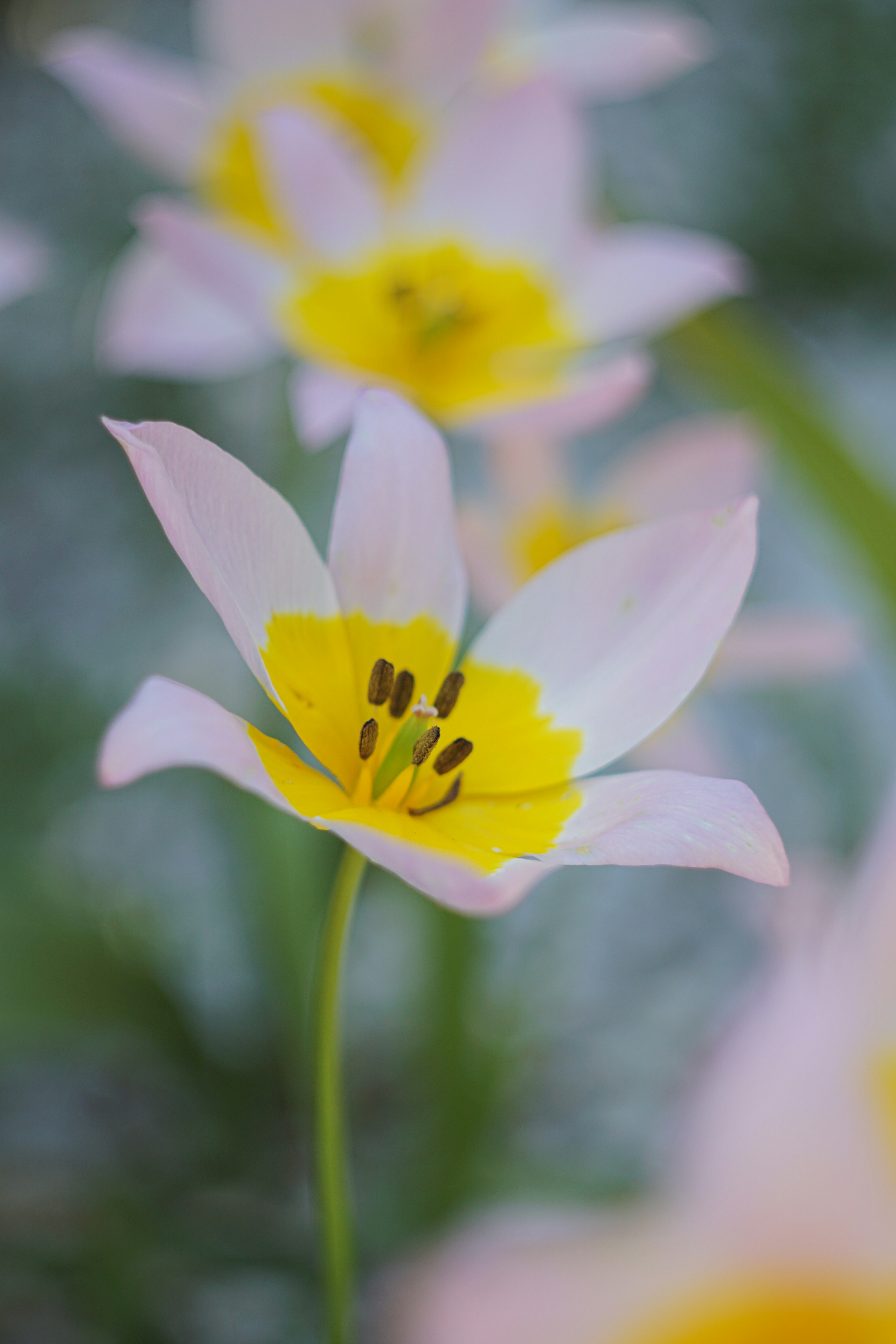 Photo by georgediama_exe