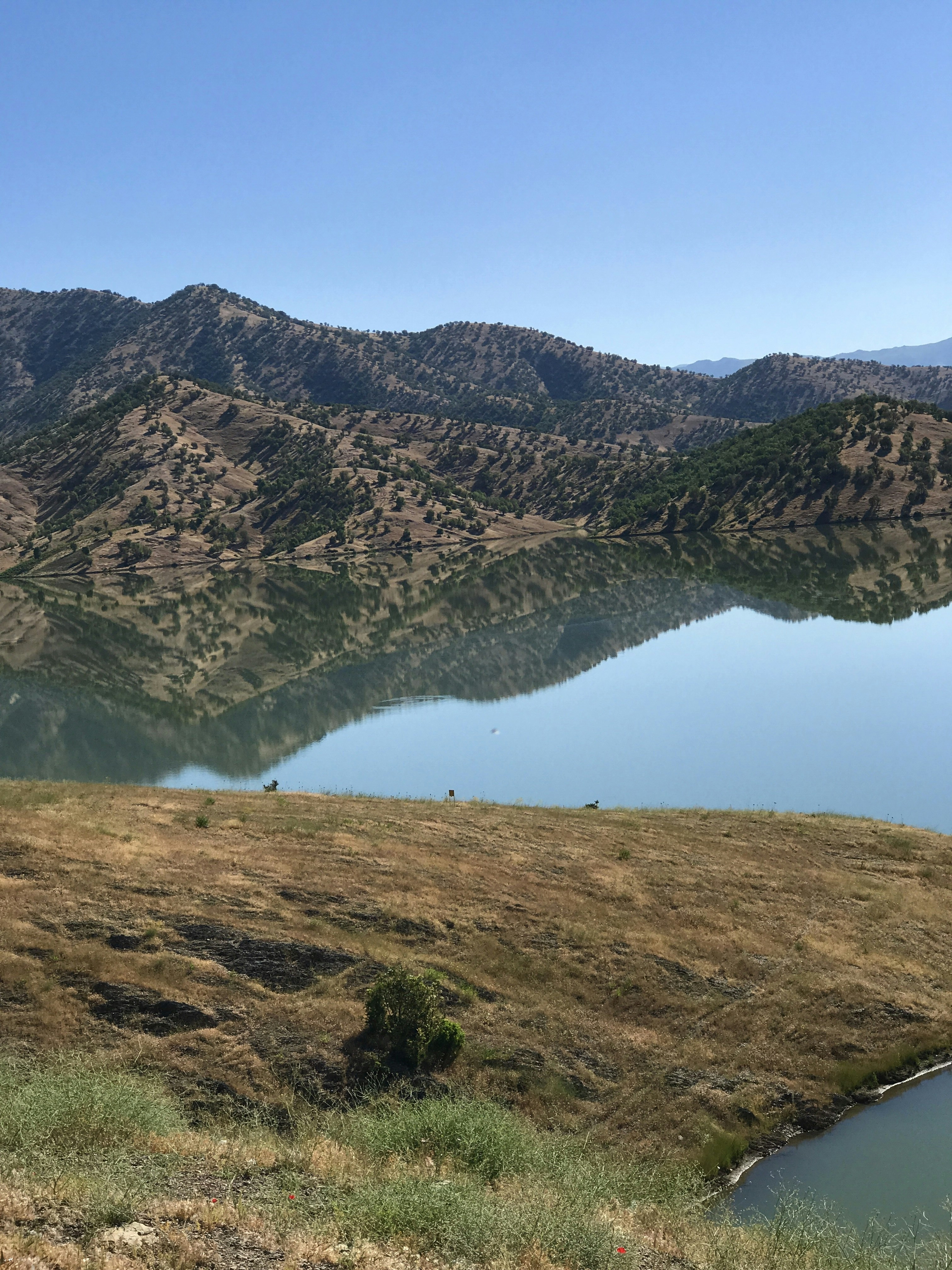 Photo by nghelichkhan