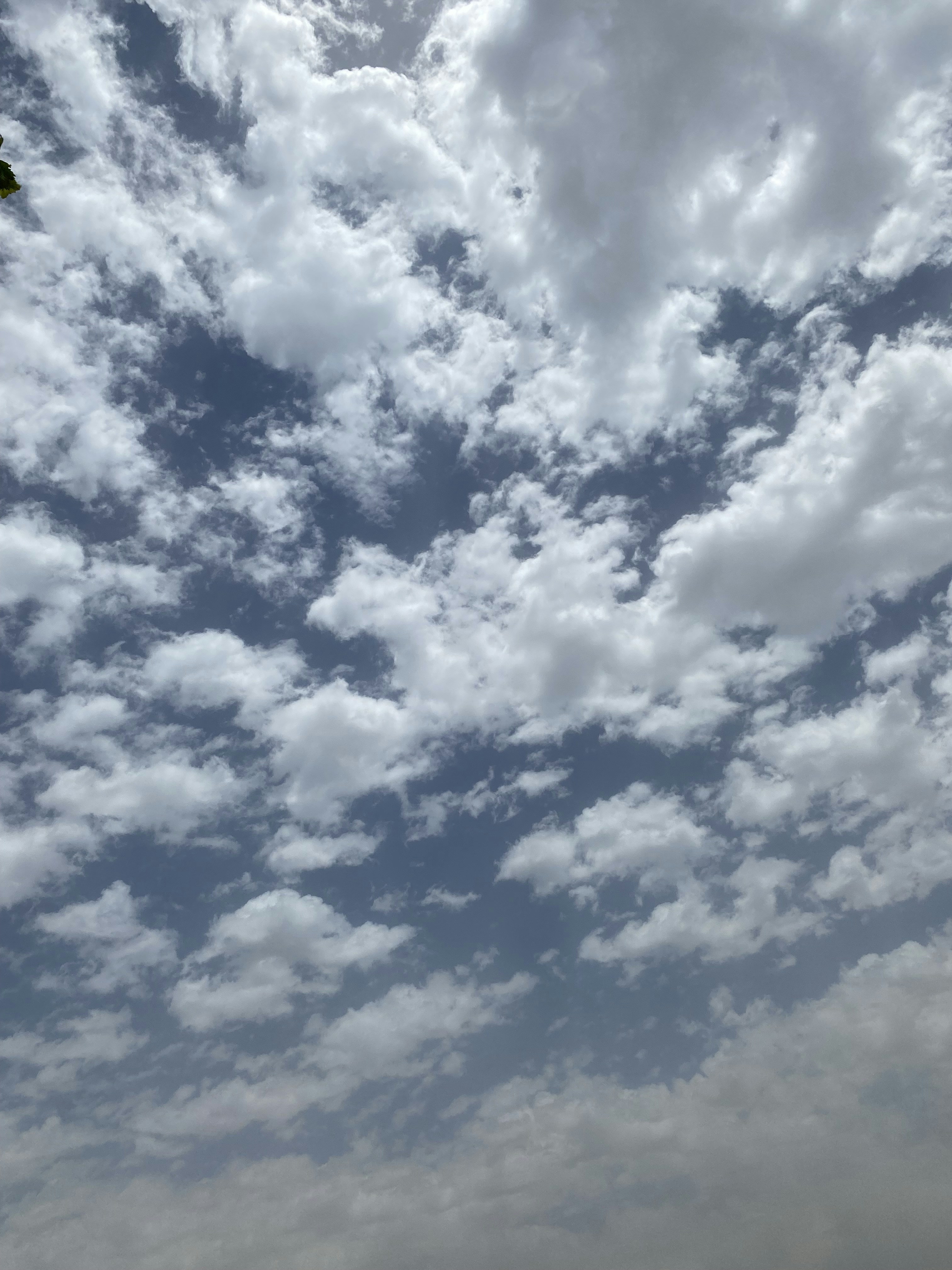 Photo by ibrahimnasr