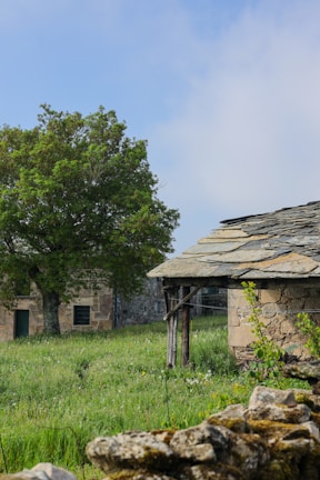 an old stone building with a tree in the background