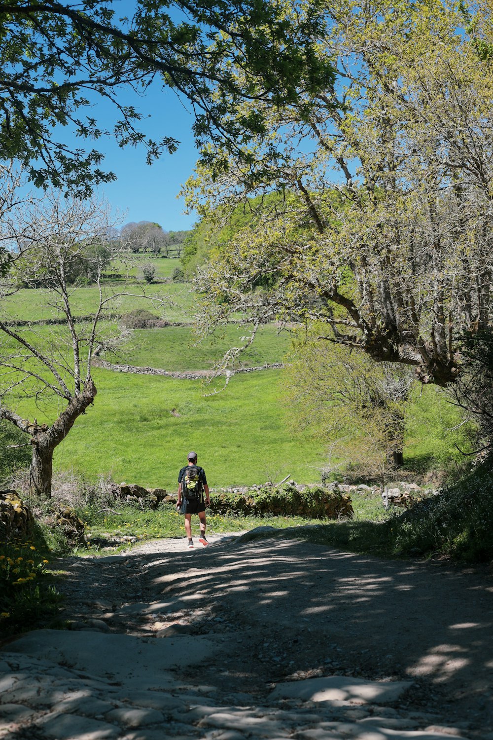 a man walking down a dirt road next to a lush green field