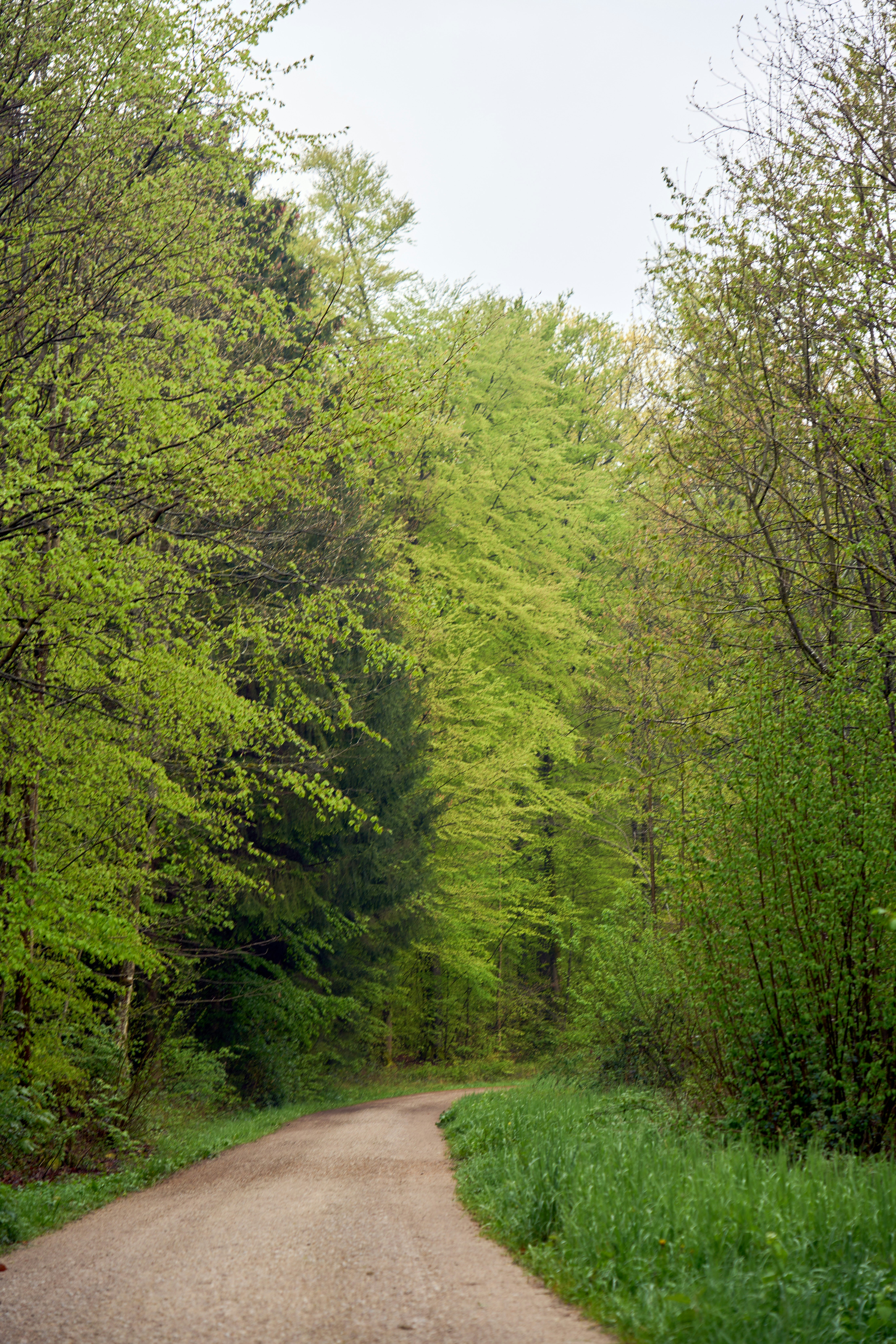 Photo by wolfgang_hasselmann