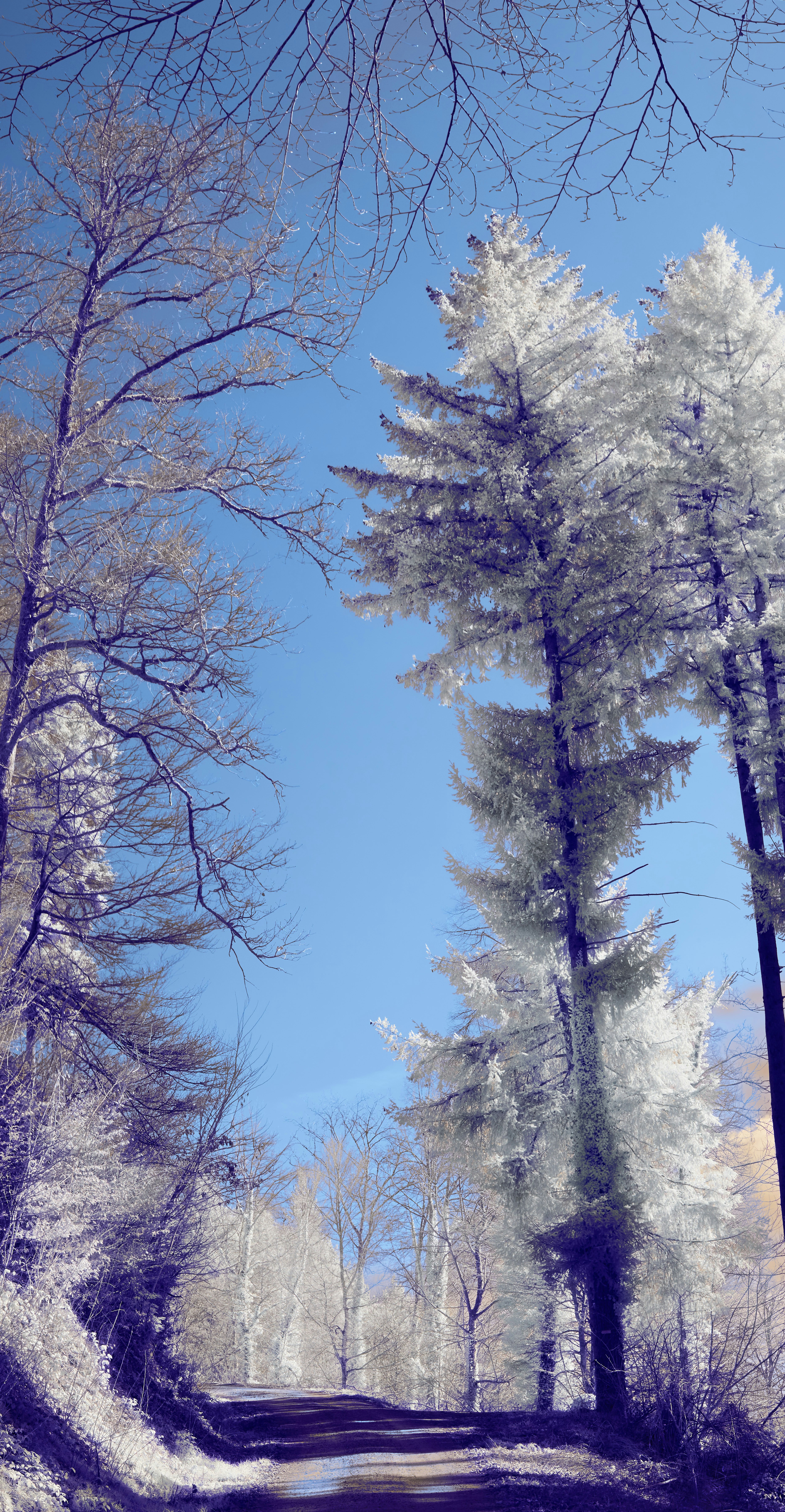 Photo by wolfgang_hasselmann