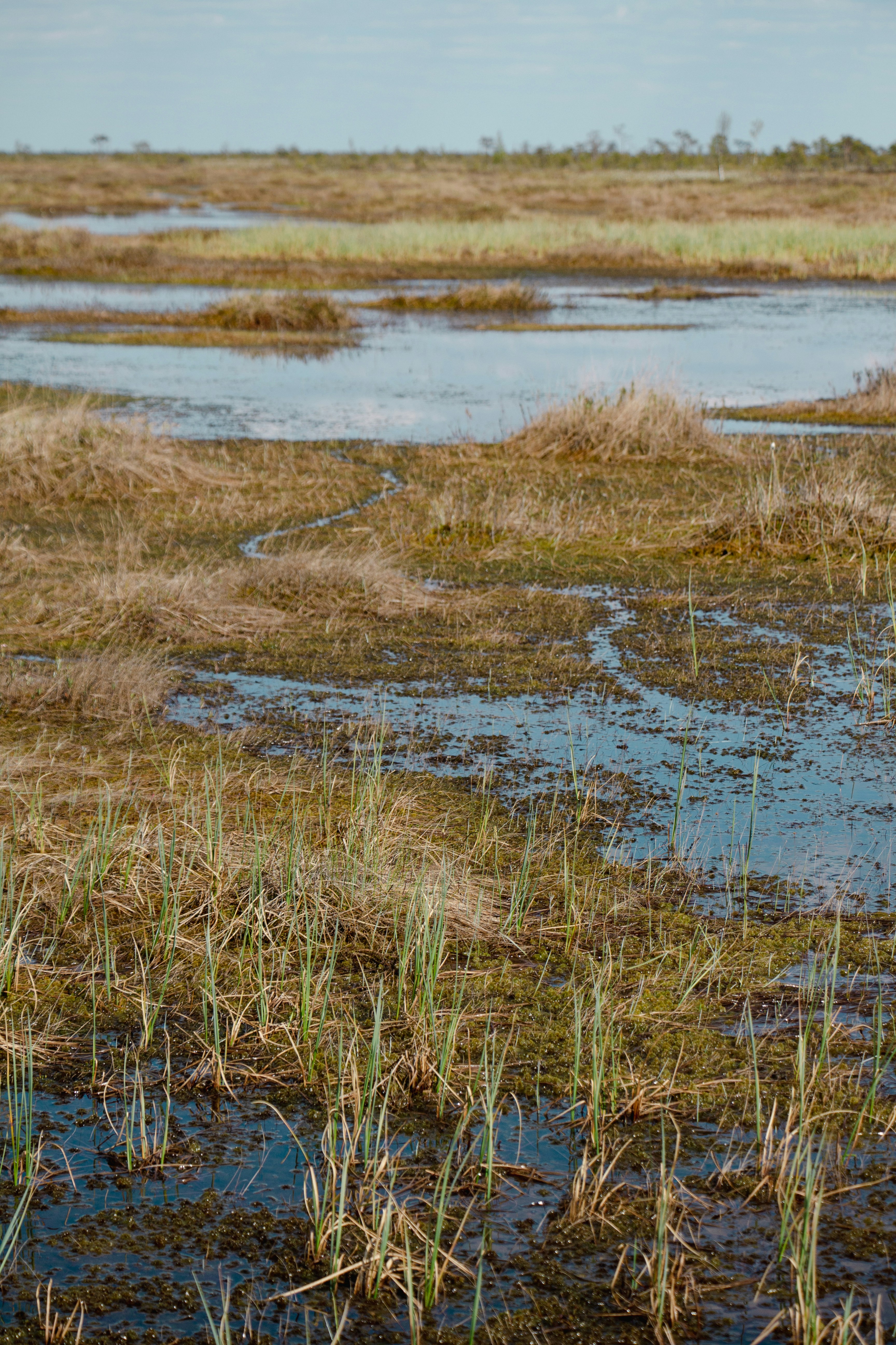 Photo by valeria_klys