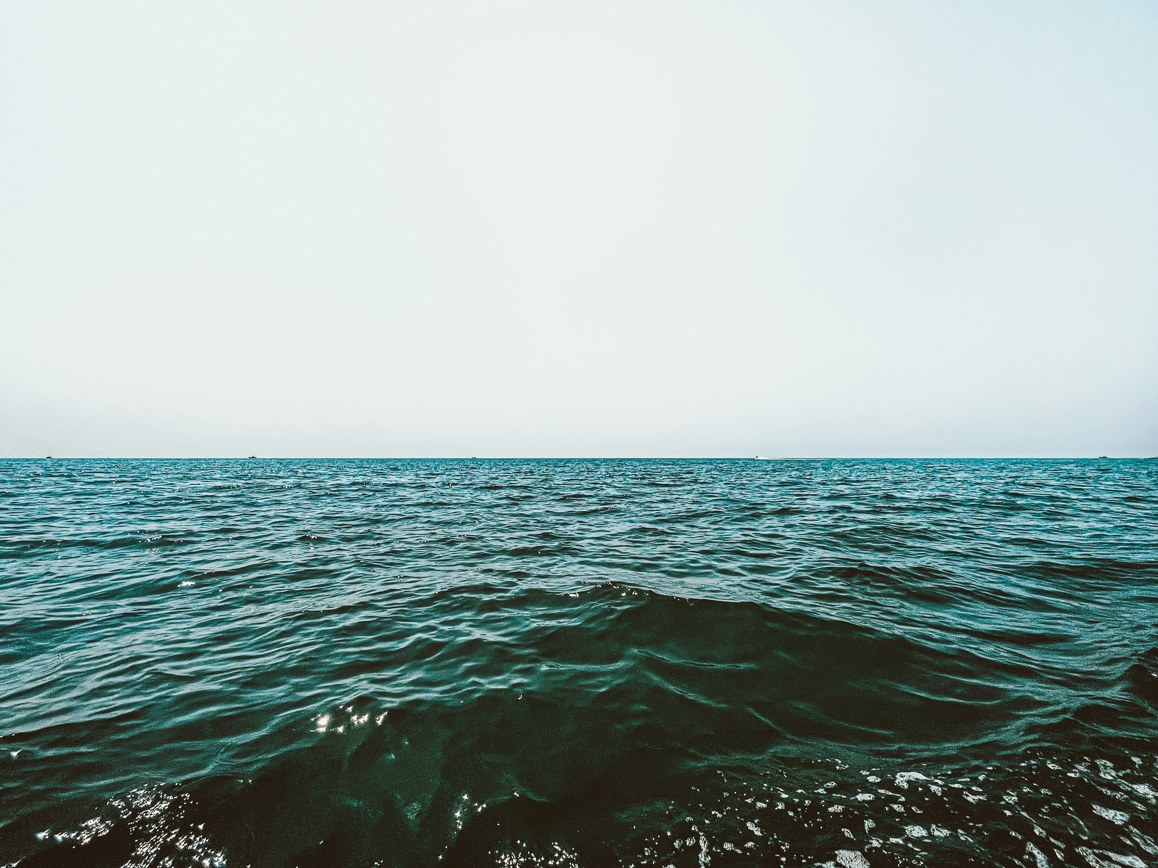 Photo by supraymeher