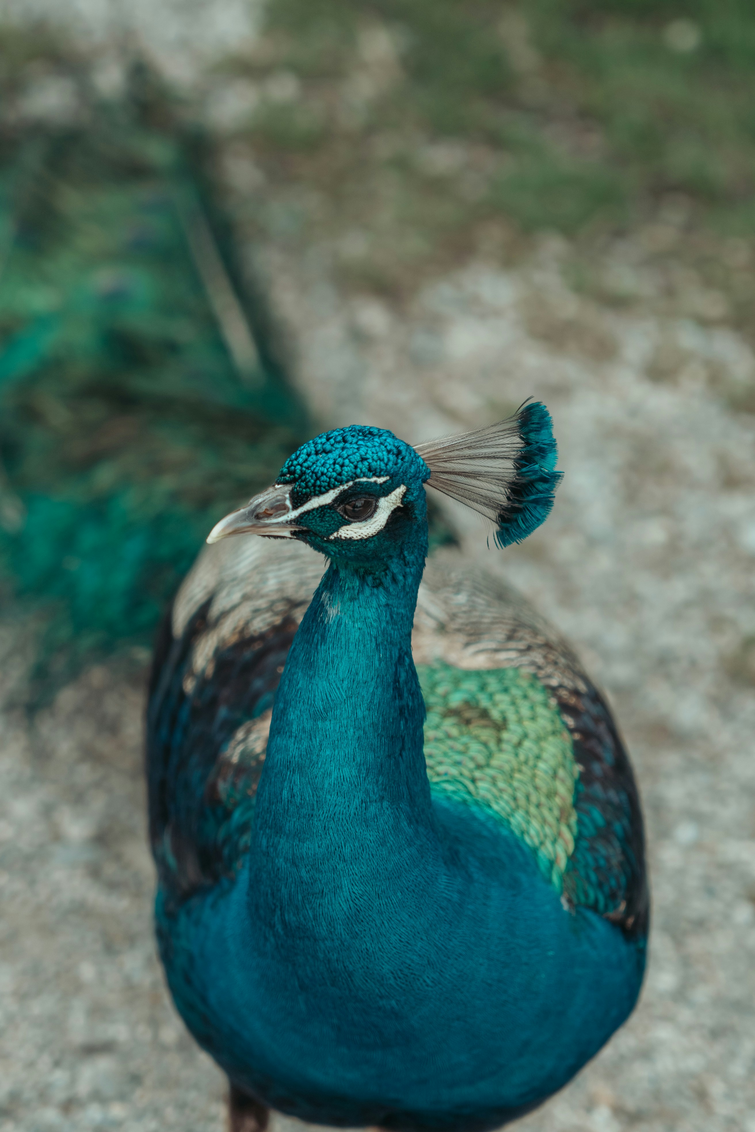 Photo by dermanuskript