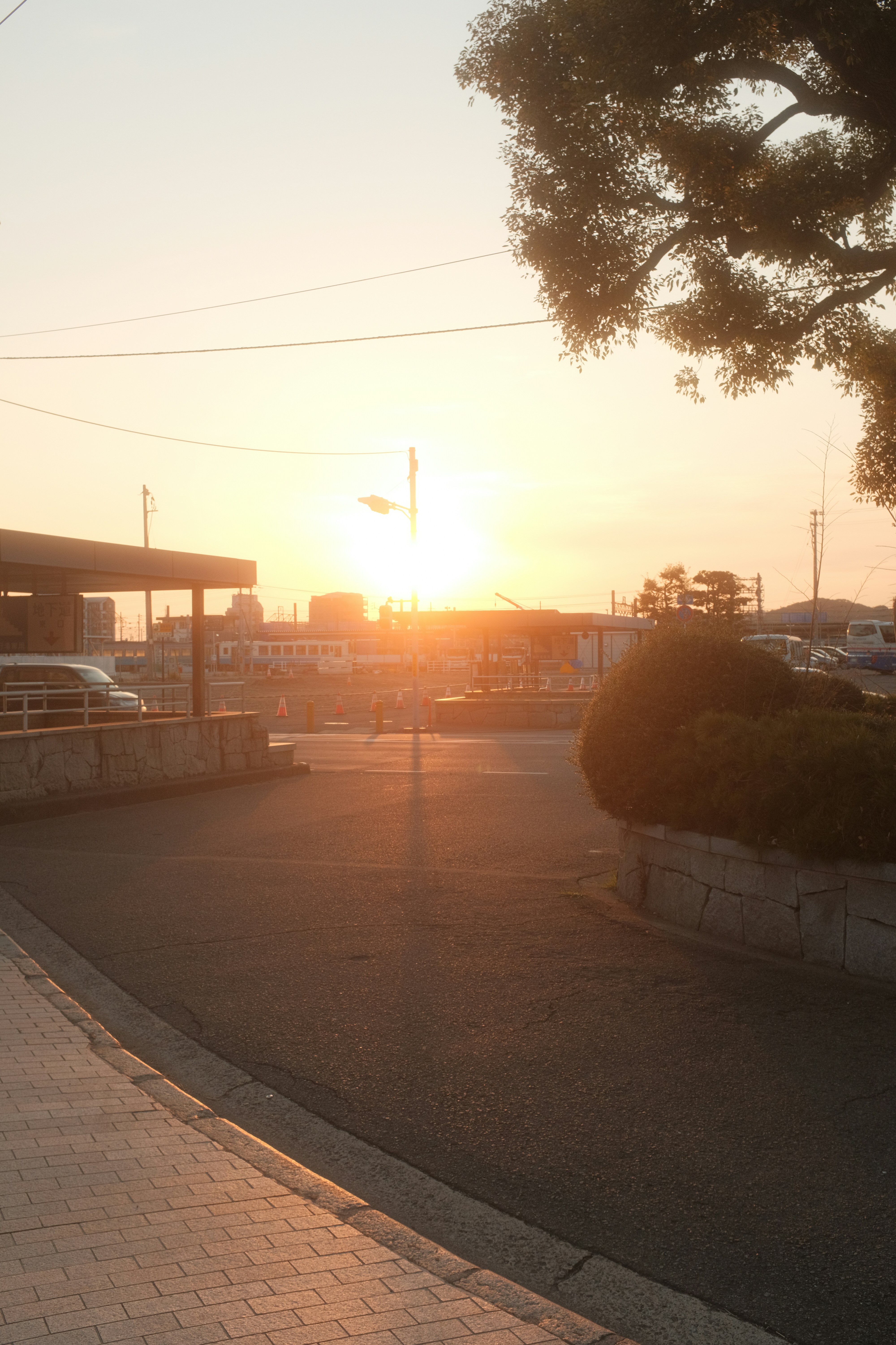 Photo by mak_jp