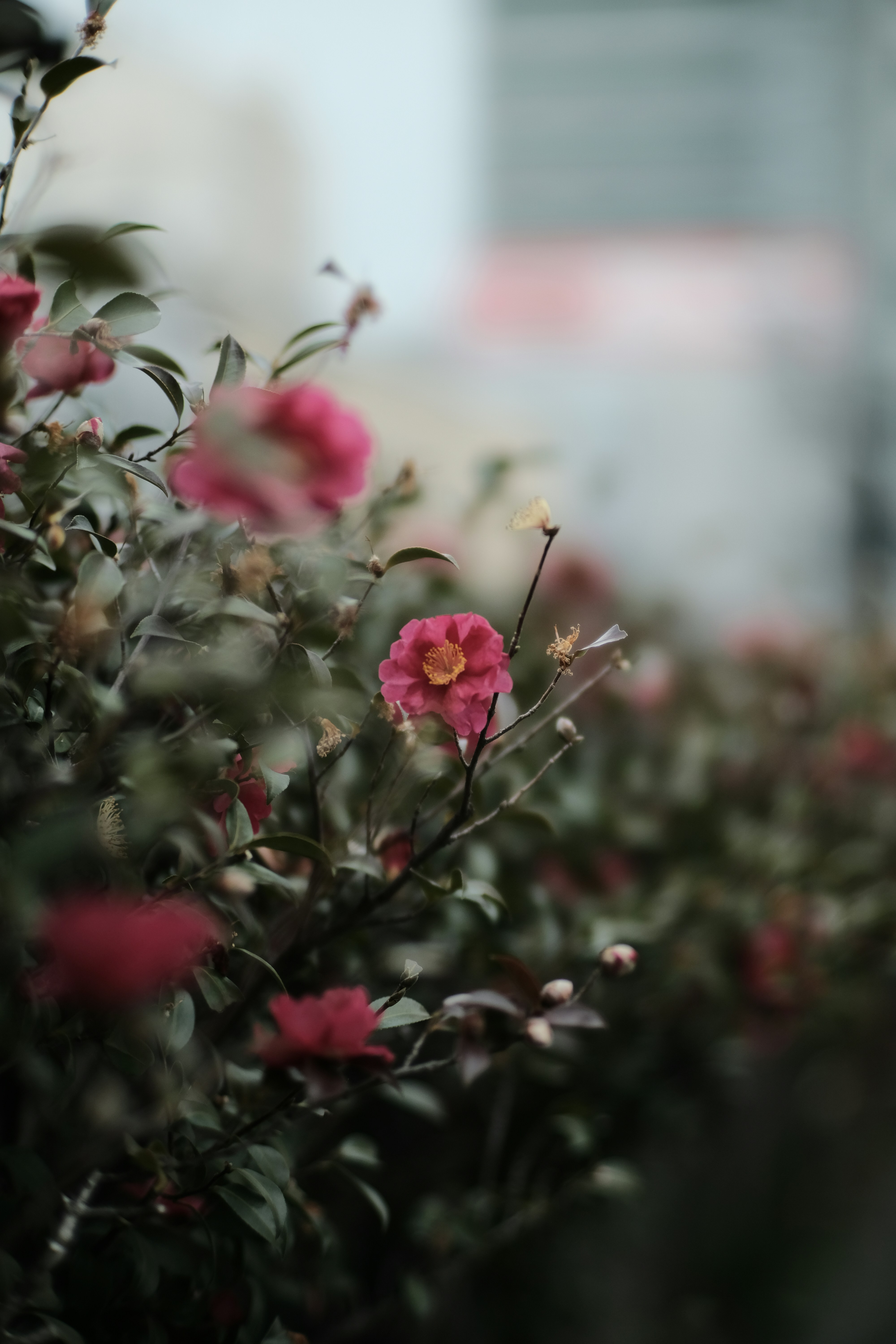 Photo by mak_jp