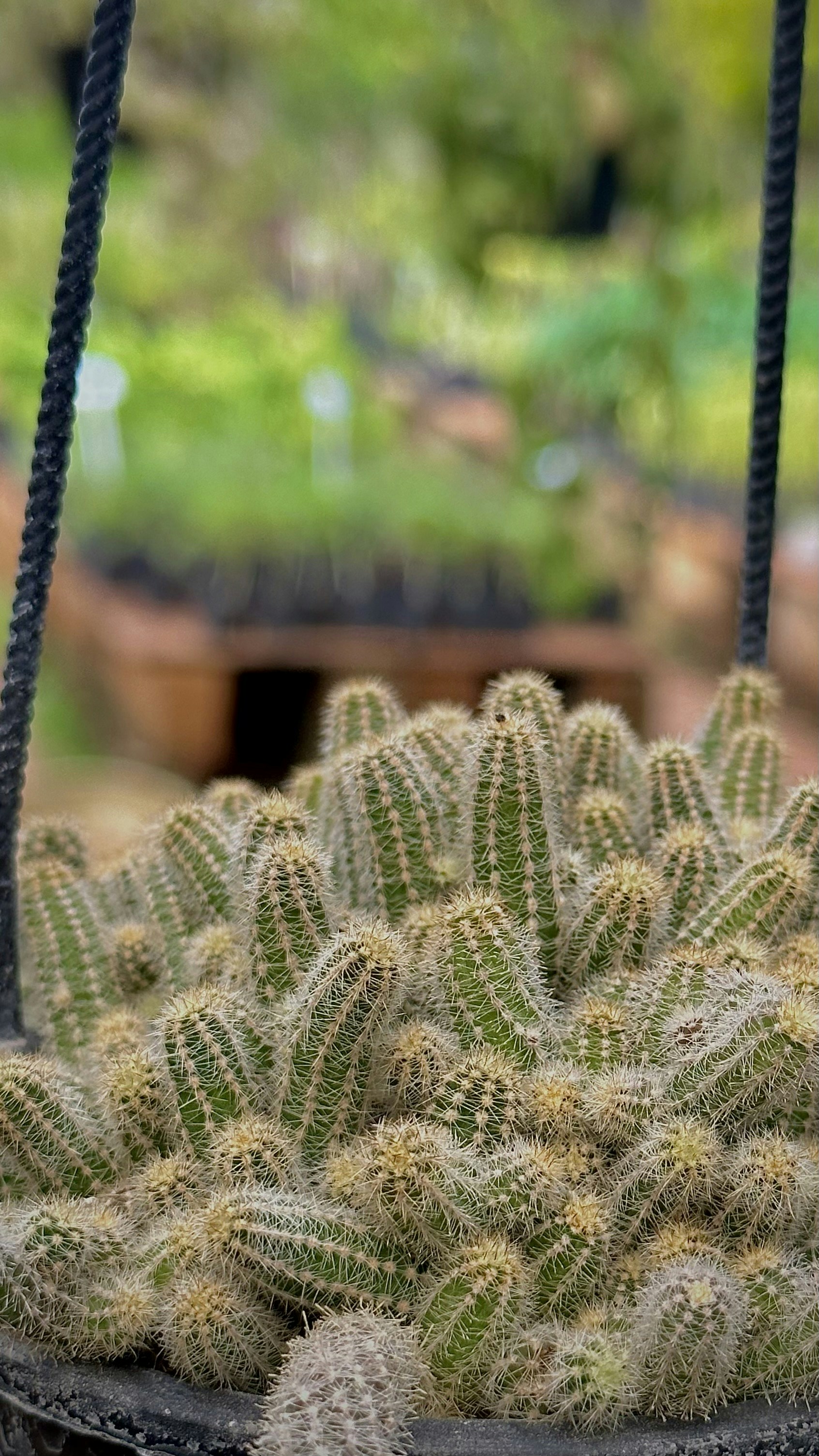 Photo by jordanfer98