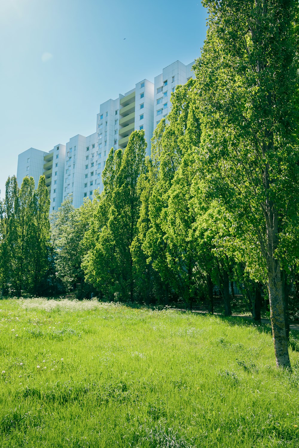 a grassy field in front of a tall building