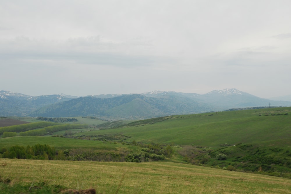 a grassy field with mountains in the distance