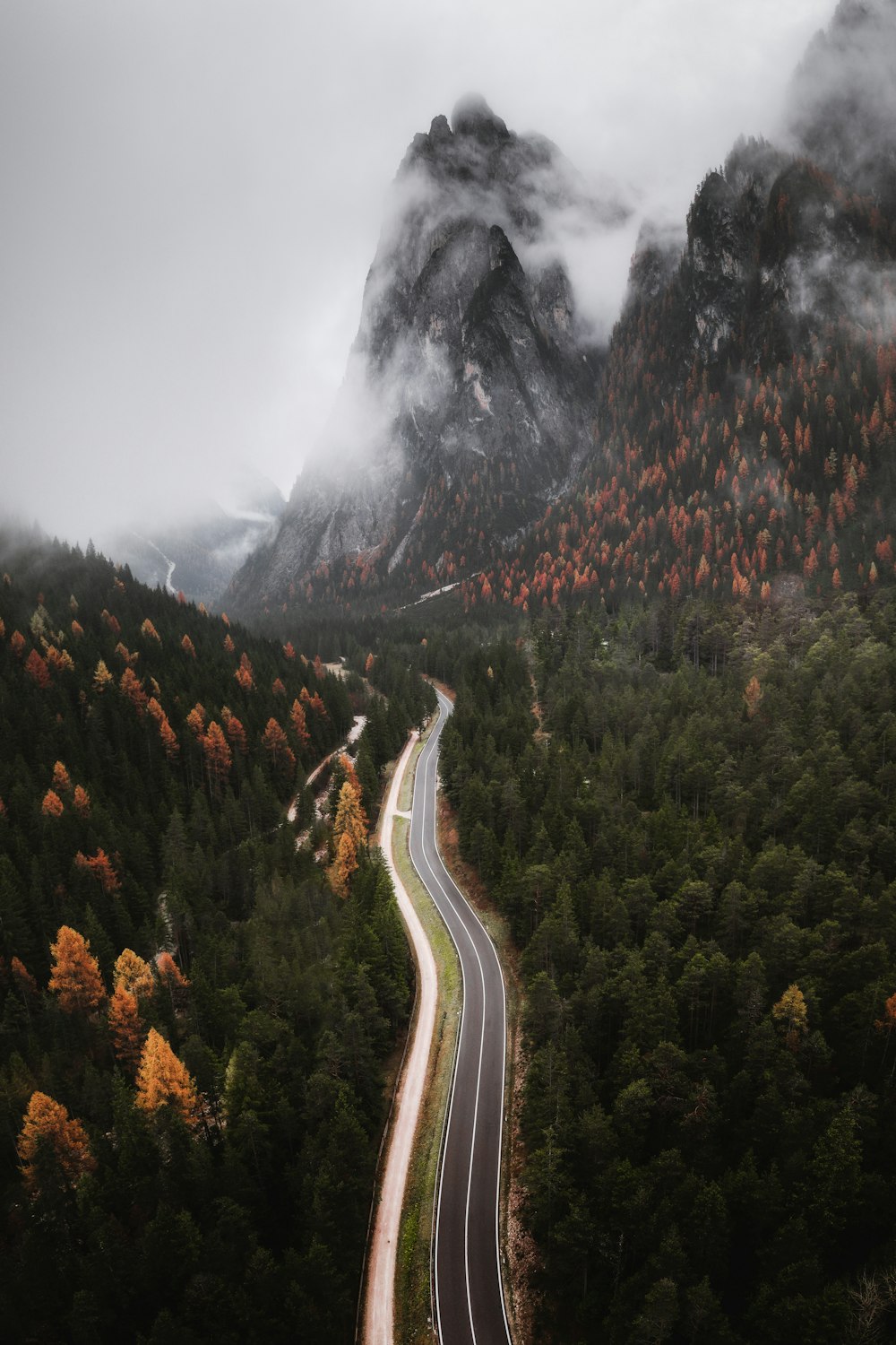 a winding road in the middle of a forest