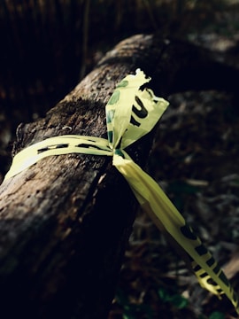 A weathered and broken caution tape is tied around a piece of log, situated in a dimly lit area. The tape contains black lettering on a bright yellow background and is slightly torn. The log appears rugged and textured, surrounded by an out-of-focus background that likely contains vegetation.