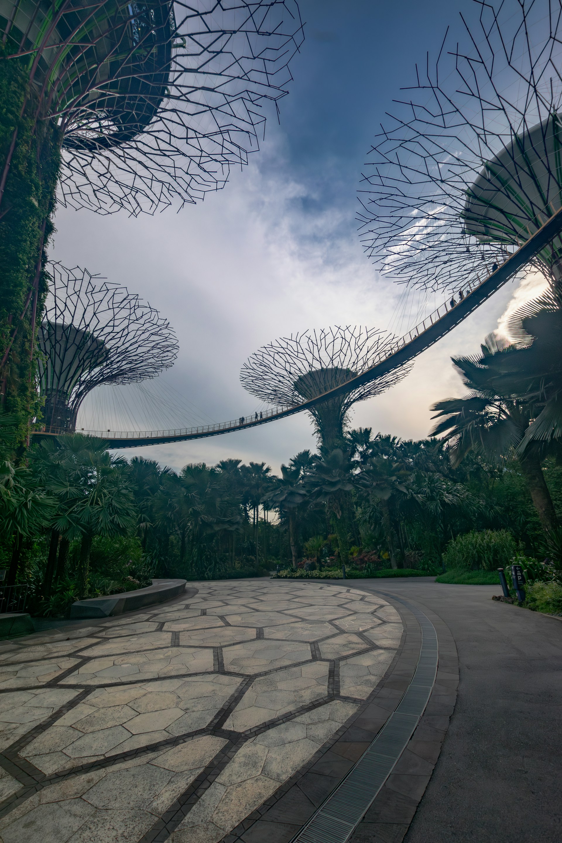 a circular walkway in the middle of a park