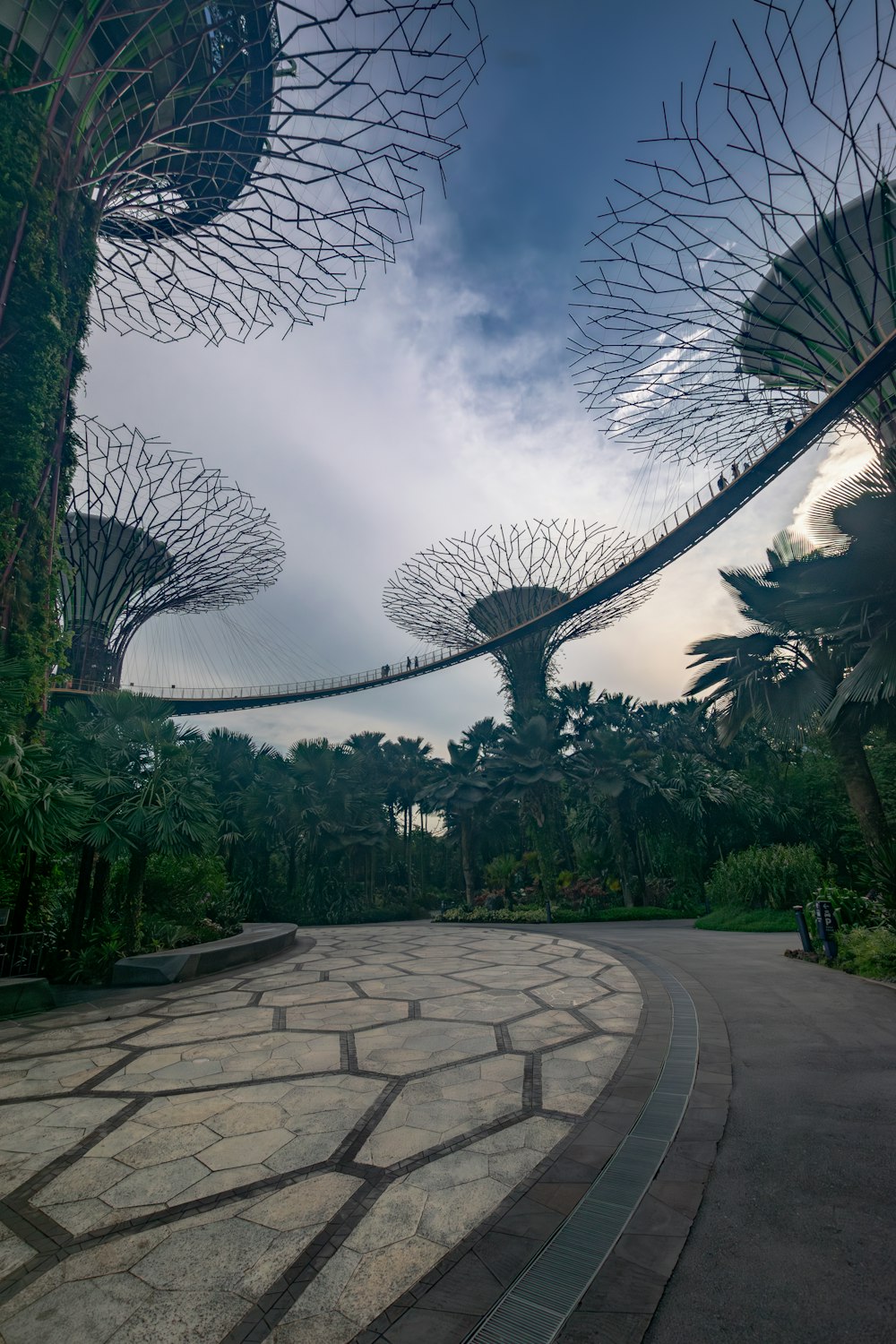 a circular walkway in the middle of a park