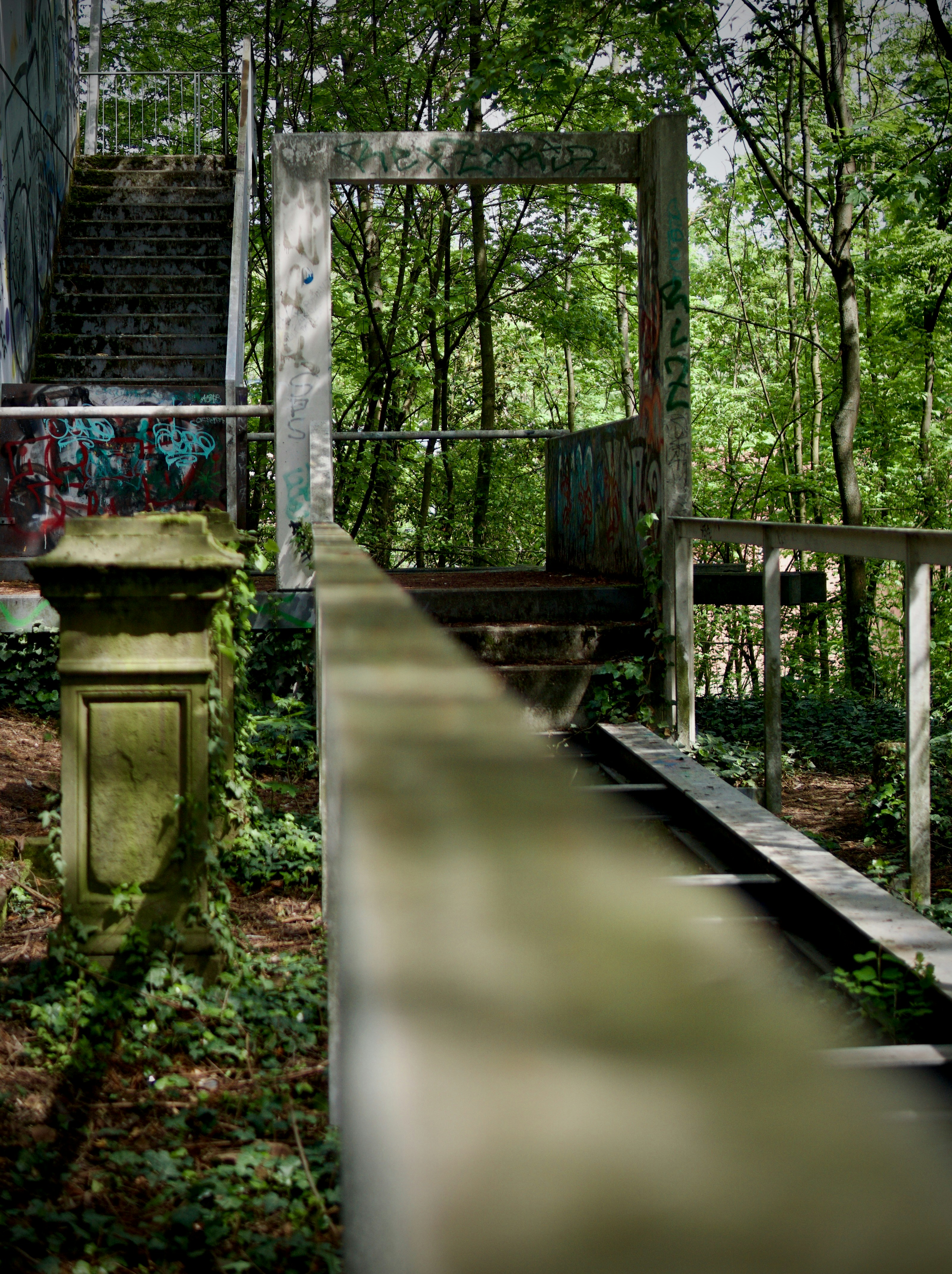 a green fire hydrant sitting in the middle of a forest
