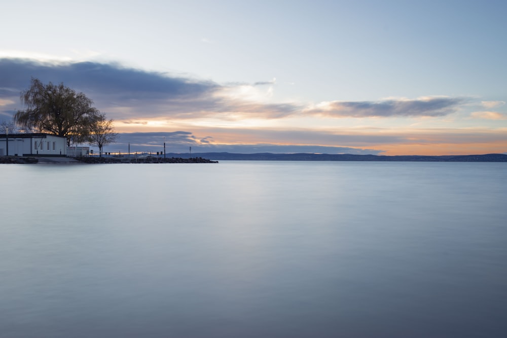 a large body of water with a tree in the middle of it