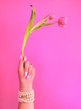 A hand adorned with white nail polish and pearl bracelets gracefully holds a pink tulip against a vibrant pink background.