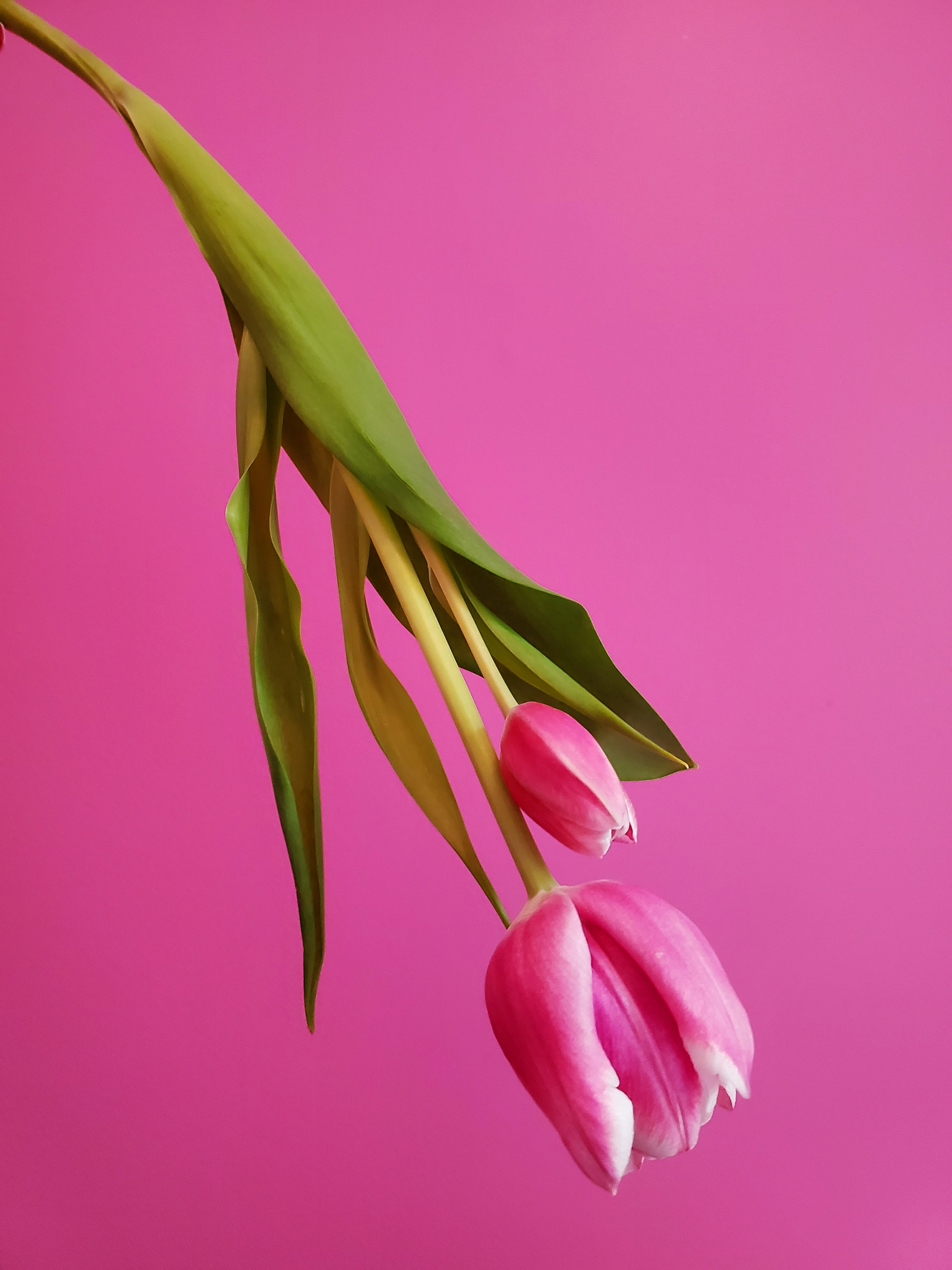 Photo by karolinabobek