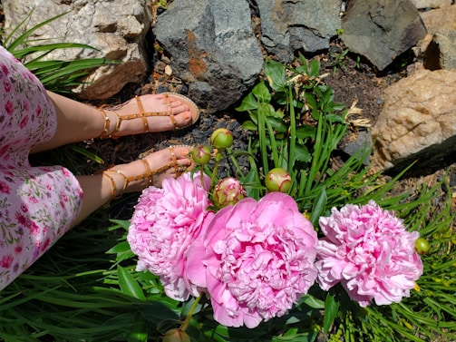 A person wearing floral clothing and tan studded sandals is standing near vibrant pink peony flowers. The scene includes lush green leaves and large rocks in a garden setting.