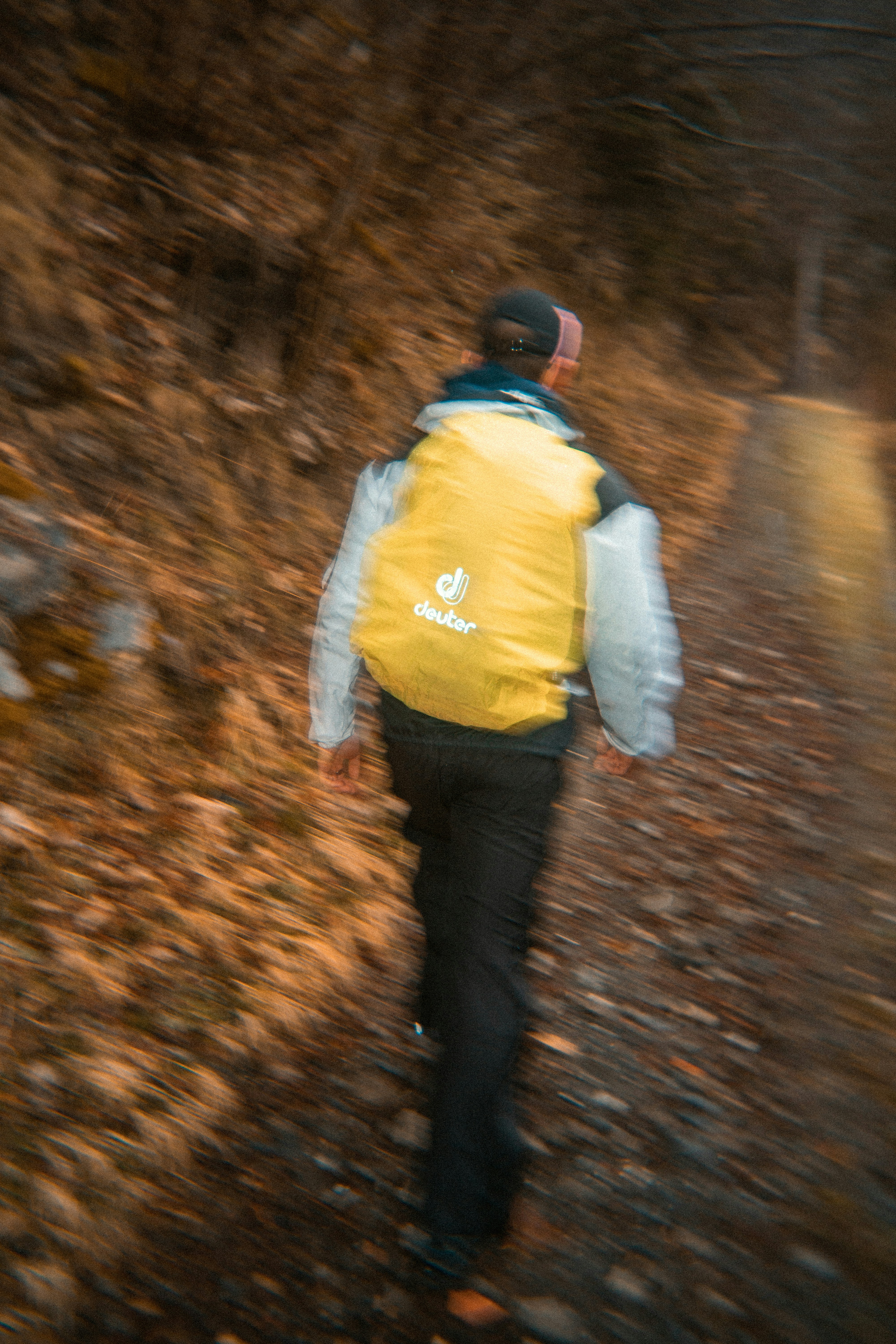 Comfortable Luxury: Premium Wilderness Experiences