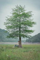 A quiet moment of reflection in nature, a person seated peacefully under a large tree.
