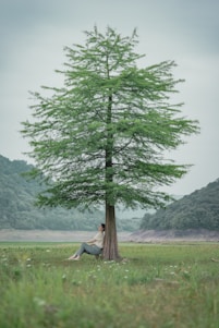 A calm person sitting peacefully in nature, symbolizing relief from stress.