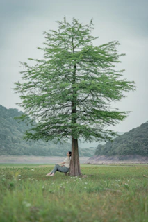 A quiet moment of reflection in nature, a person seated peacefully under a large tree.
